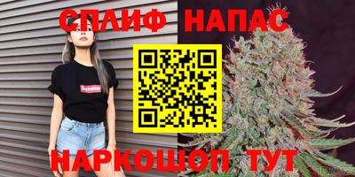дмт Будённовск
