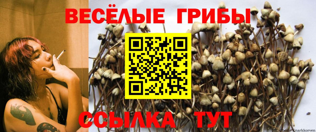 Лосино-Петровский  Псилоцибиновые грибы мухоморы  Вход с VPN  Псилоцибиновые грибы GOLDEN TEACHER 