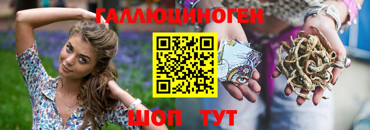 Галлюциногенные грибы Psilocybe Лосино-Петровский